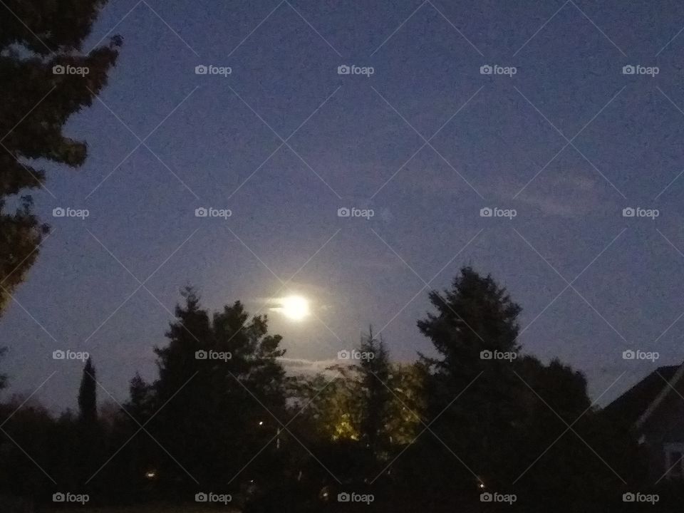 moonlight over Keizer