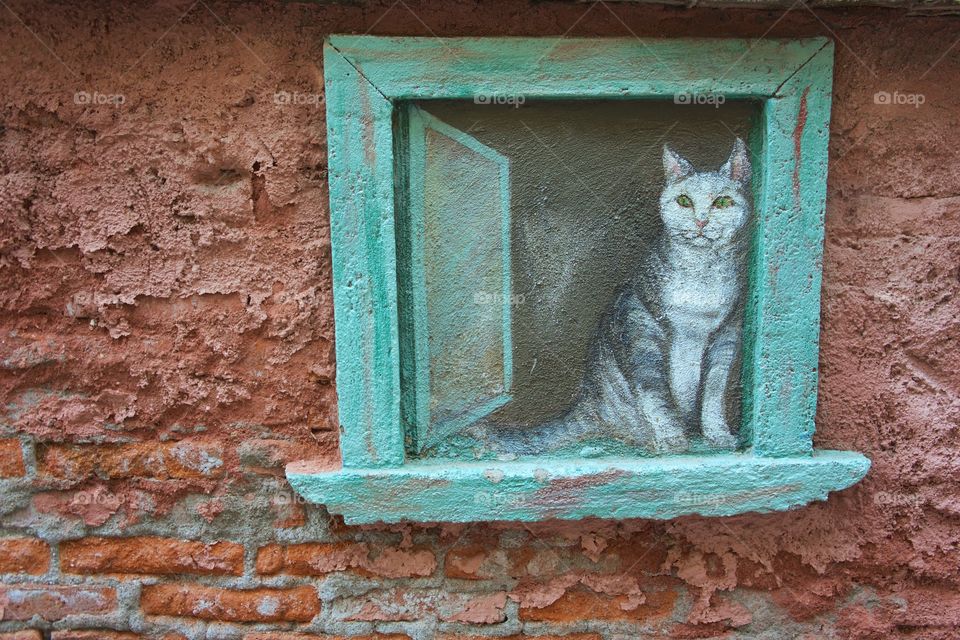 An outside painted wall, window frame  and cat in San Miguel de Allende, Mexico.