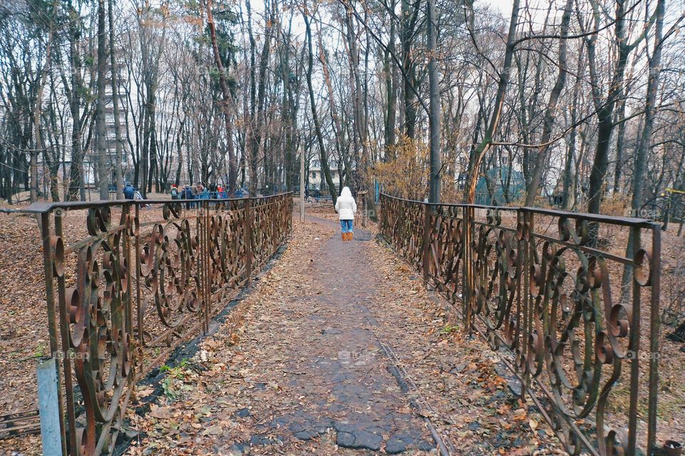 in autumn park in Kiev city, autumn