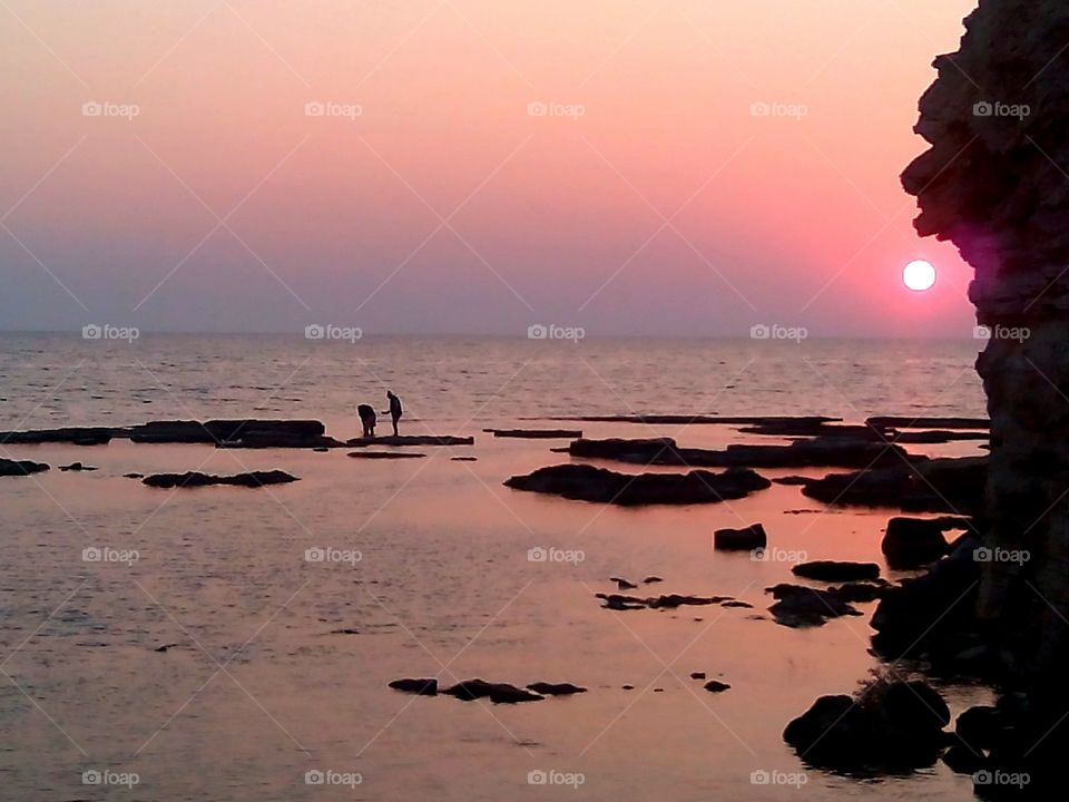 Sunset, Water, Dawn, Beach, Dusk