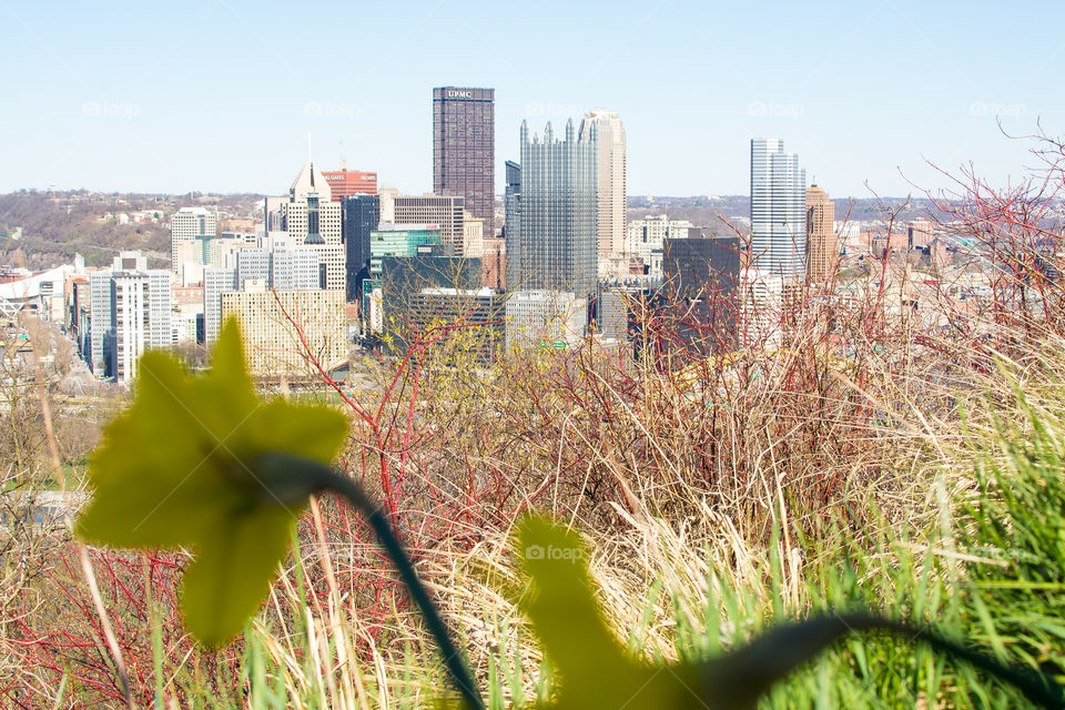 Pittsburgh in the spring.
