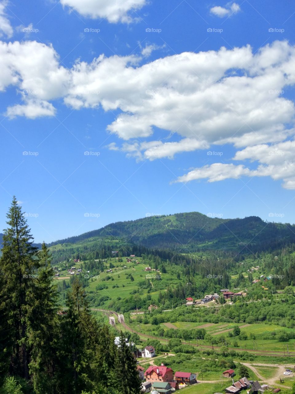 Carpathian mountains landscape