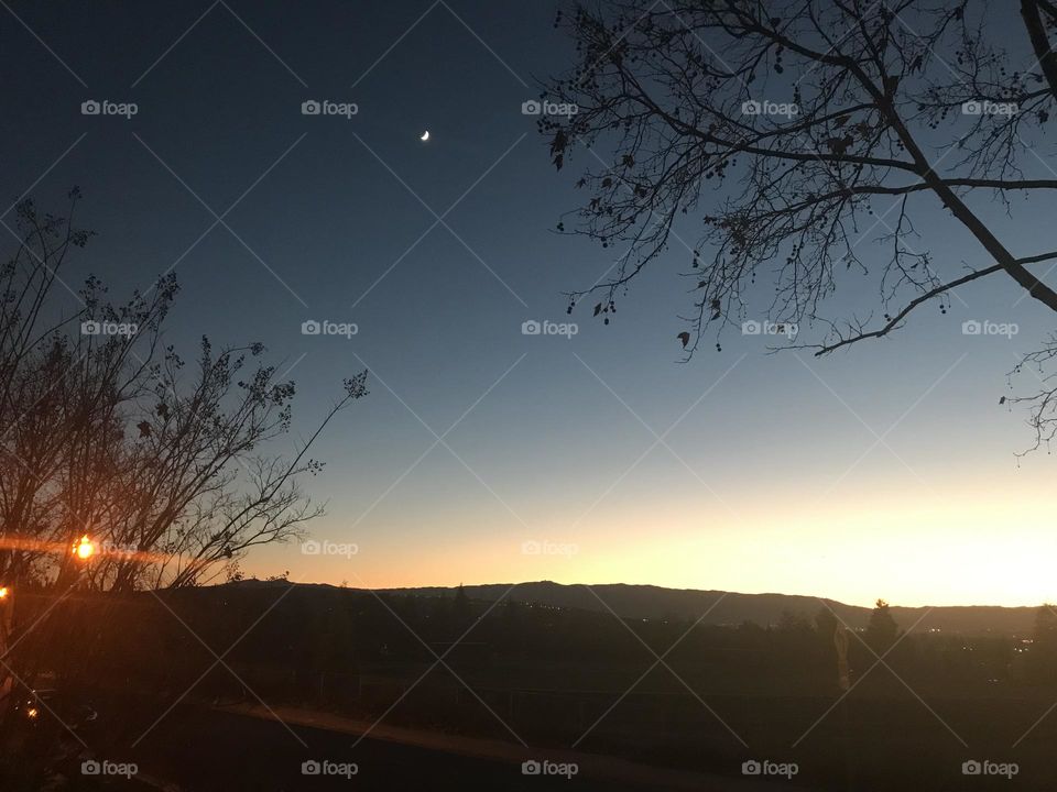 Venus rising in the night sky 
