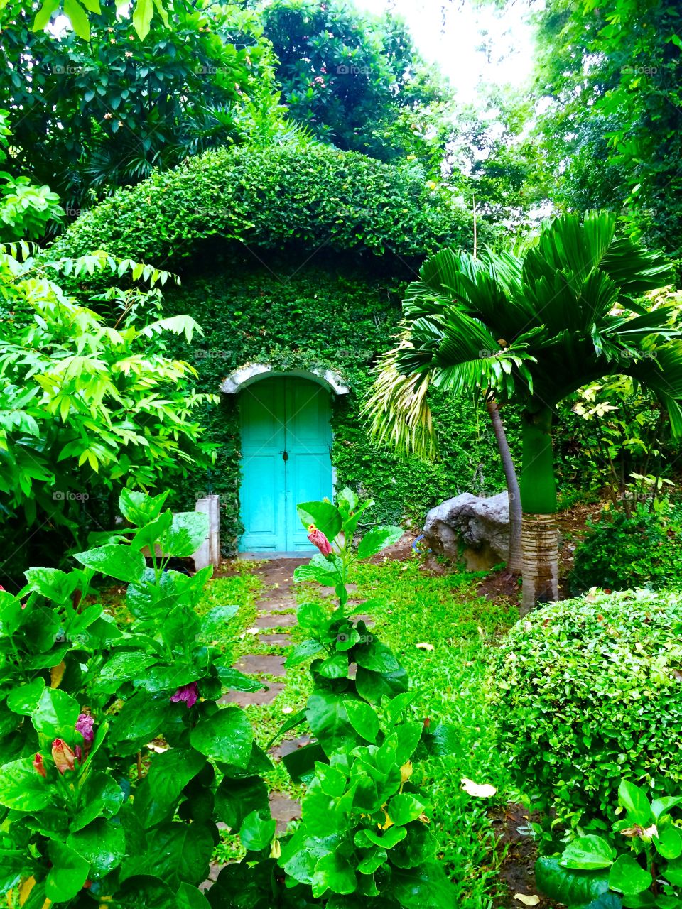 House go green