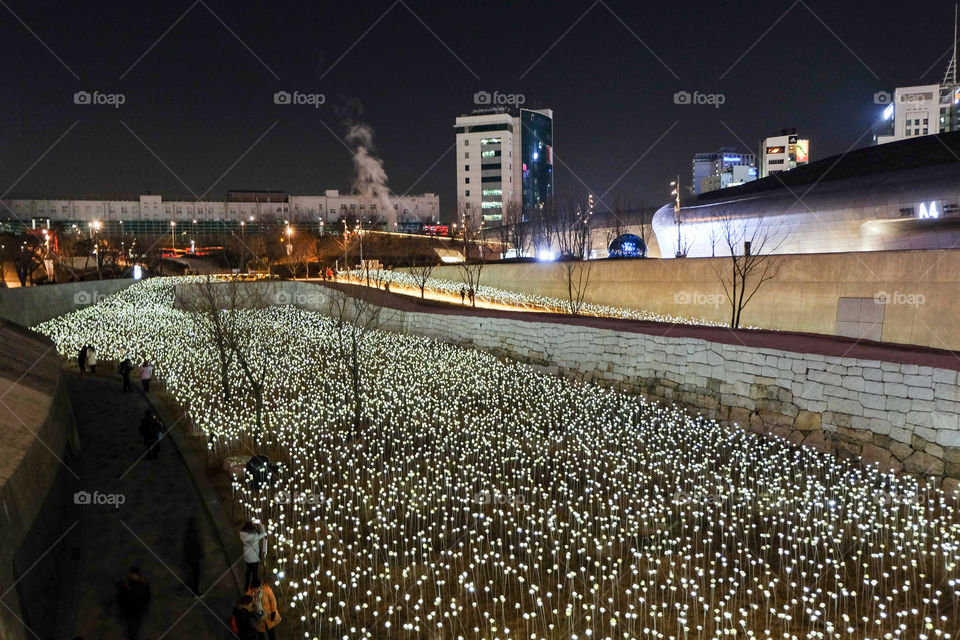 Decoration of lights in city