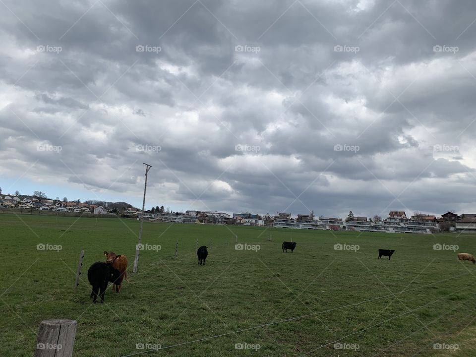 Village in Switzerland 