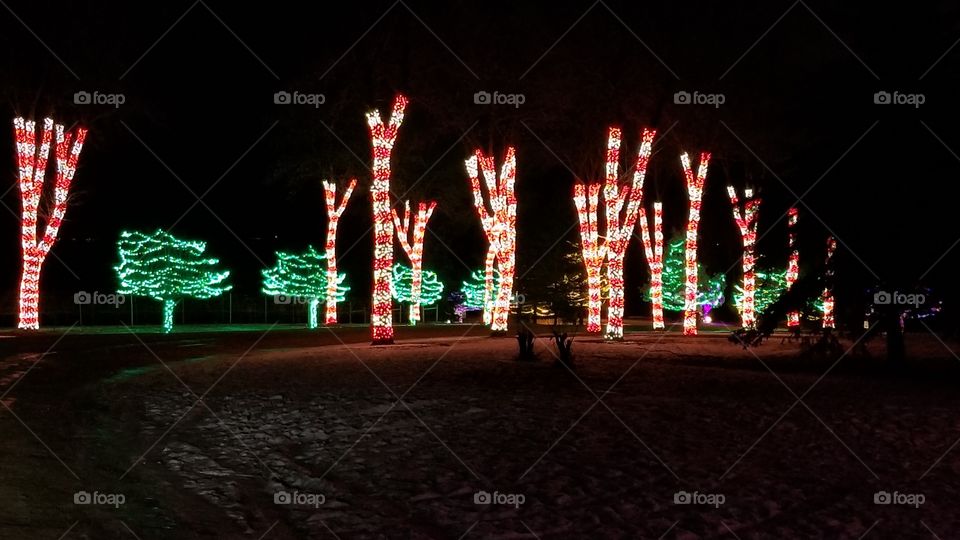 candy cane forest