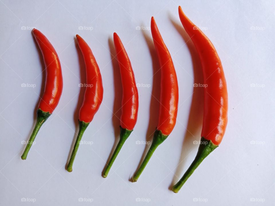 red hot chili on white background