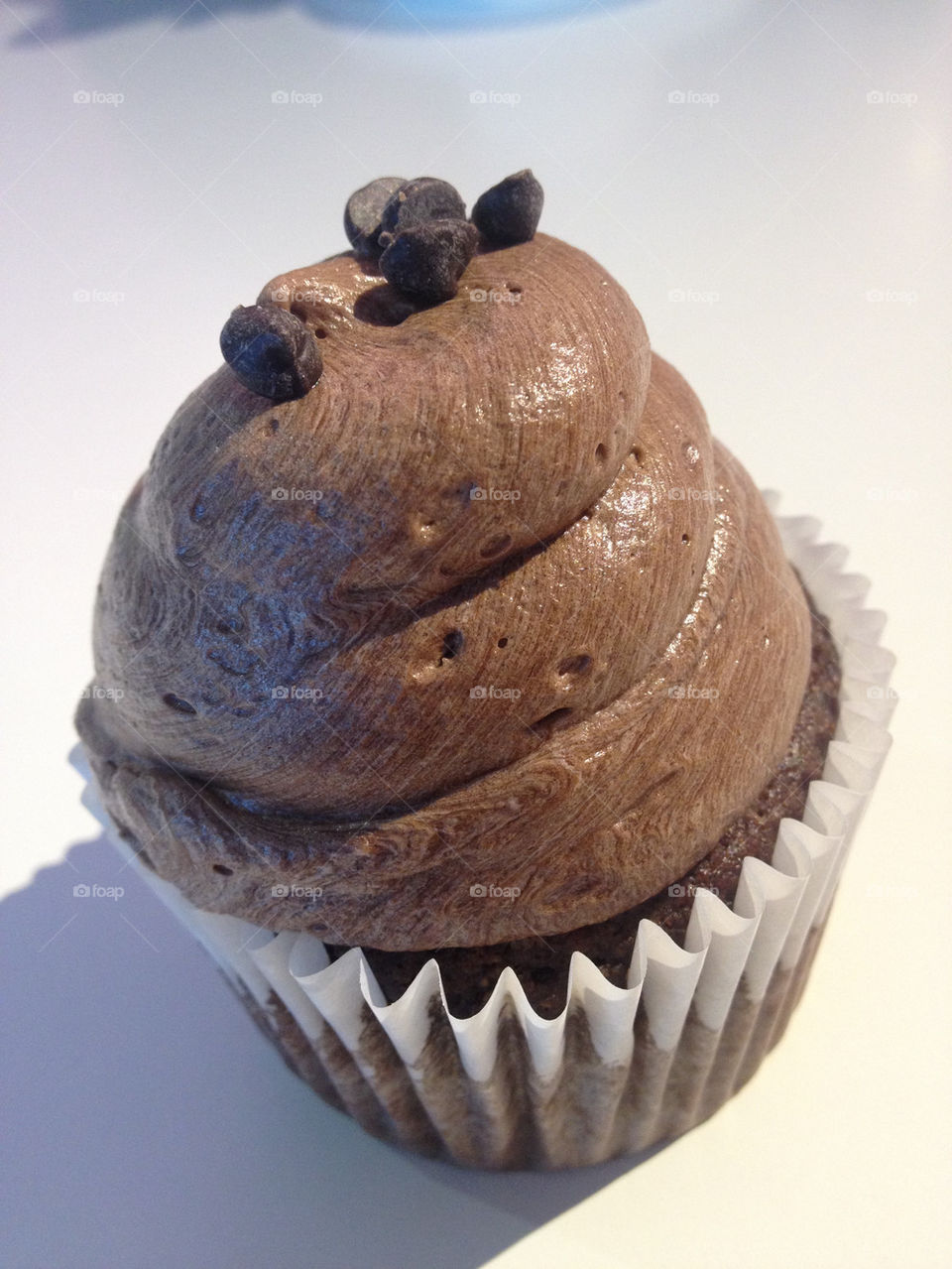 sweet moose chocolate cupcake by fotocapsule