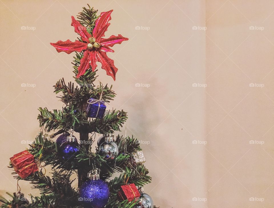 Already setting up mini Christmas trees for this lovely holiday season! 