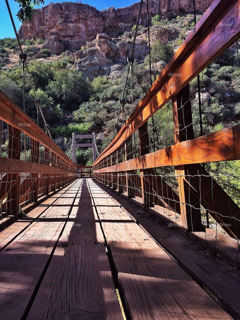 Bridge to the heavens 