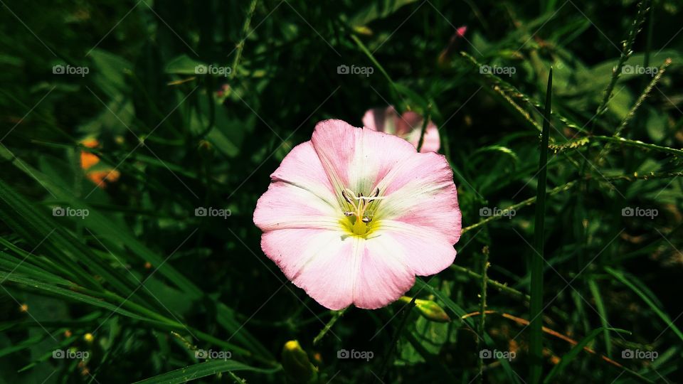 let's reach the lights