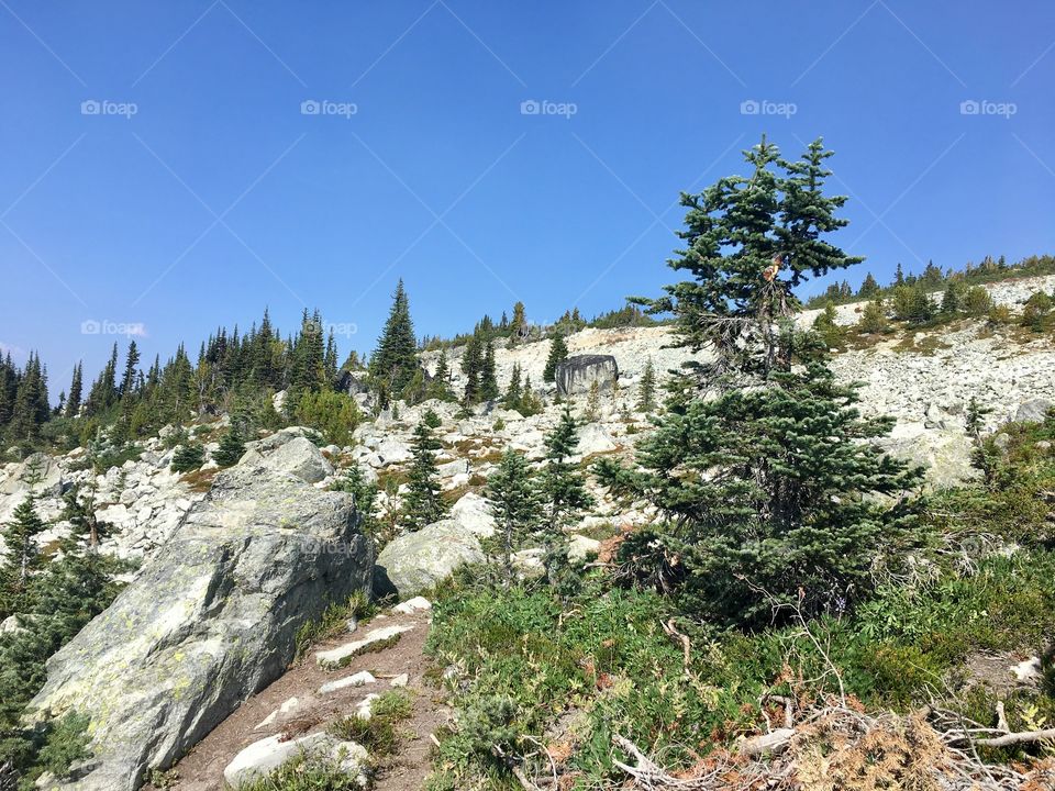 Blackcomb Mountain hiking trails