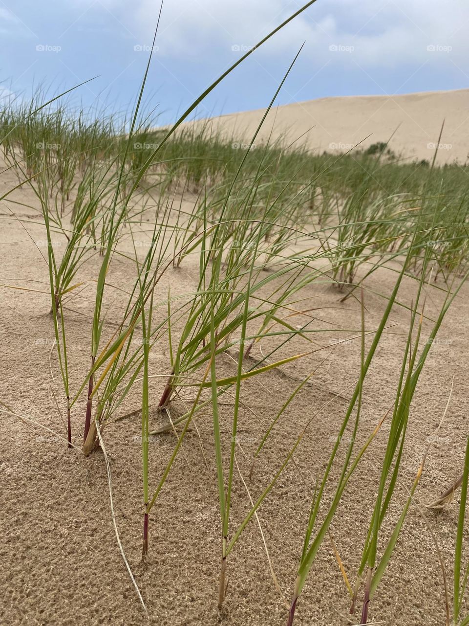 The presence of vegetation on the dunes adds a touch of greenery to the otherwise sandy landscape. 
The sky is cloudy with patches of blue, suggesting a partially overcast day.