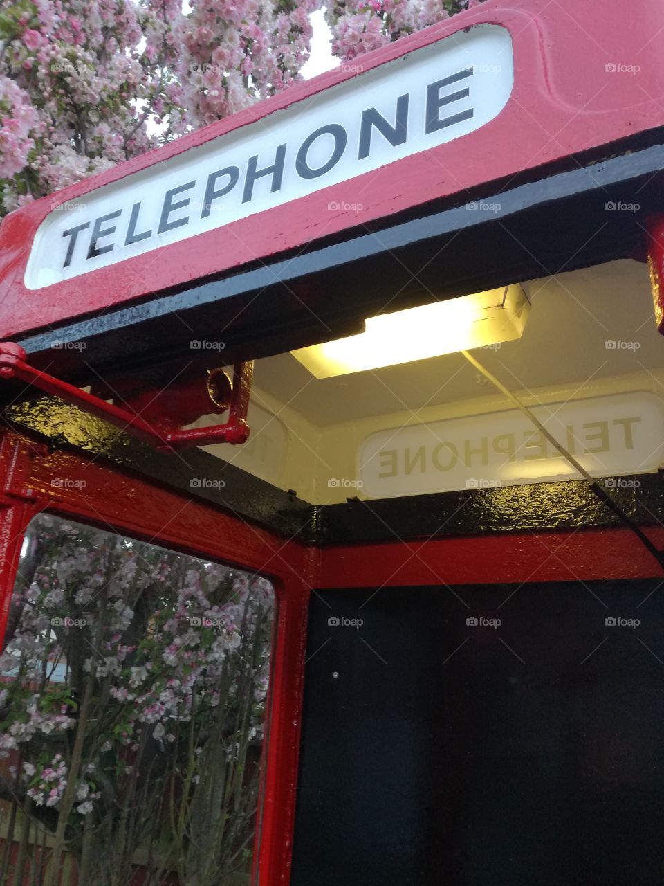 Close up of a telephone box sign and the inside if the box.