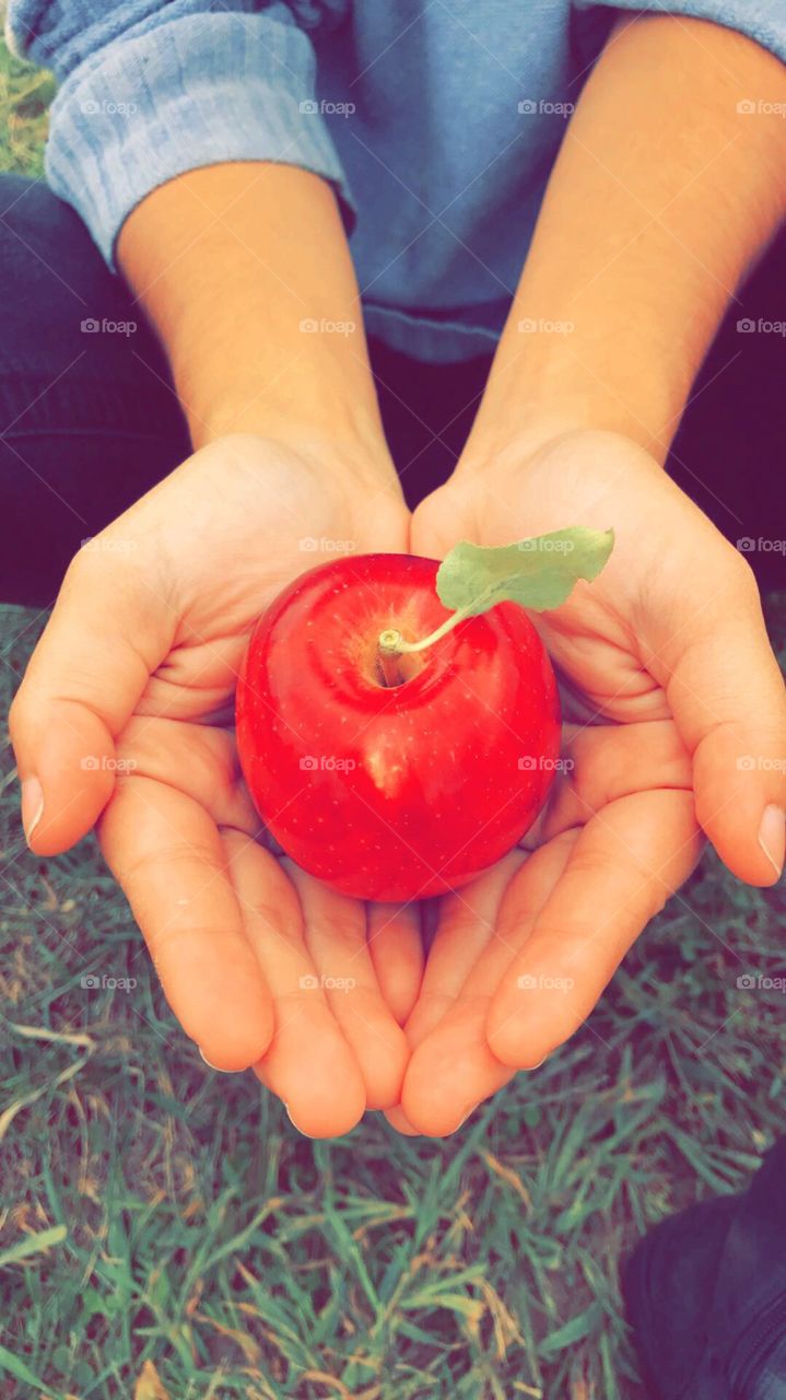 Snow White apple 