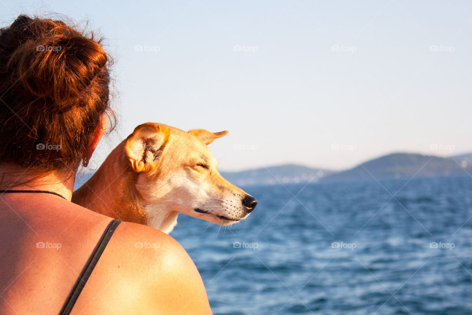 Dog squinting into the sun