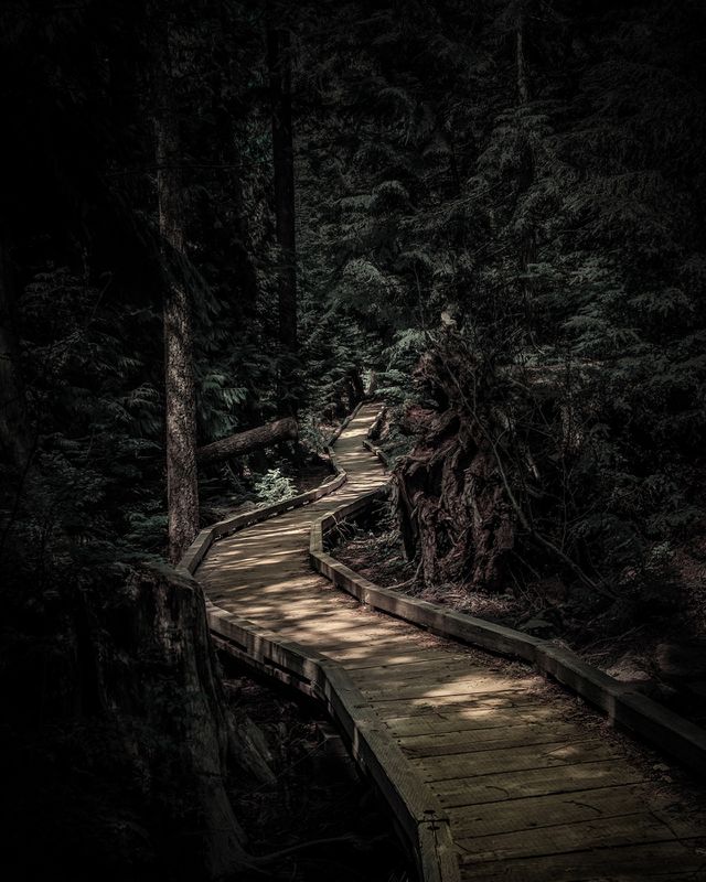 Let's take a walk 