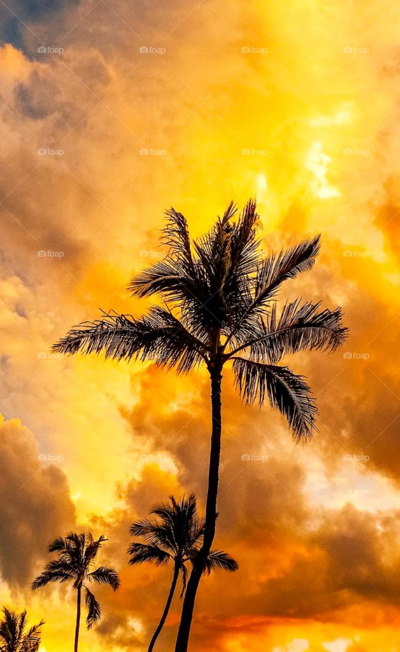 also nice place orange and yellow cloud and beautiful evaning views