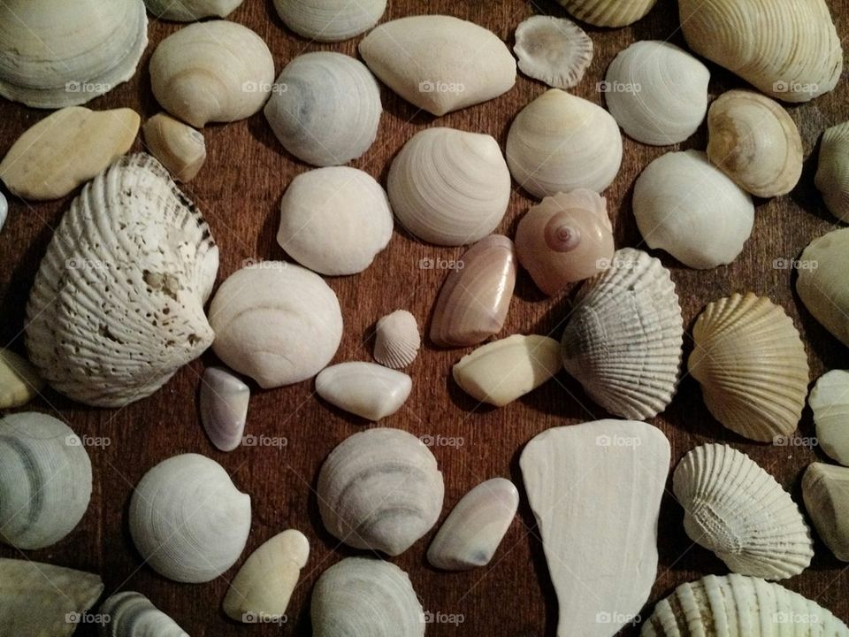 Mixed Shells