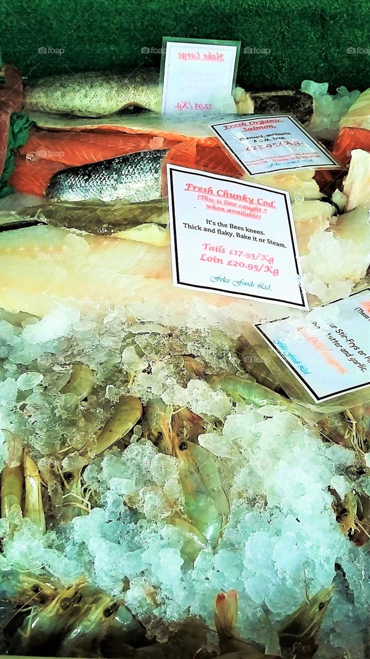 Raw Fish in Ice