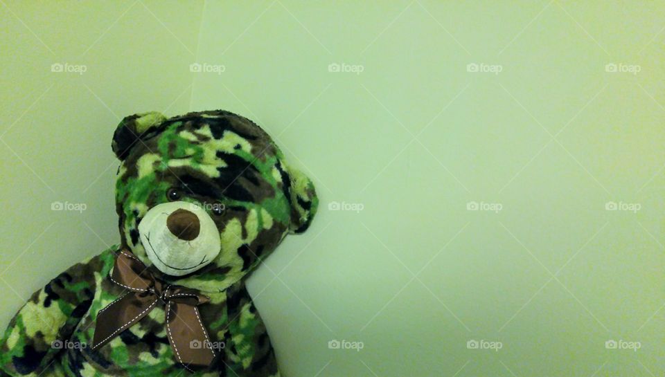 green camouflage teddy bear