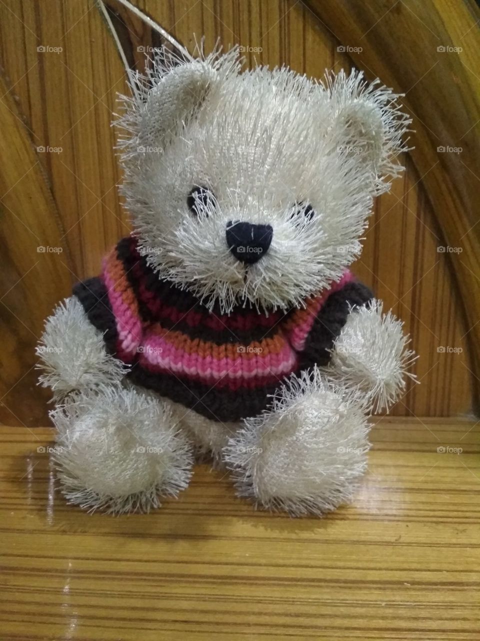 The little Teddy bear
