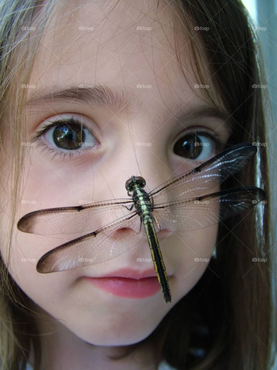 The girl with the dragonfly on her face