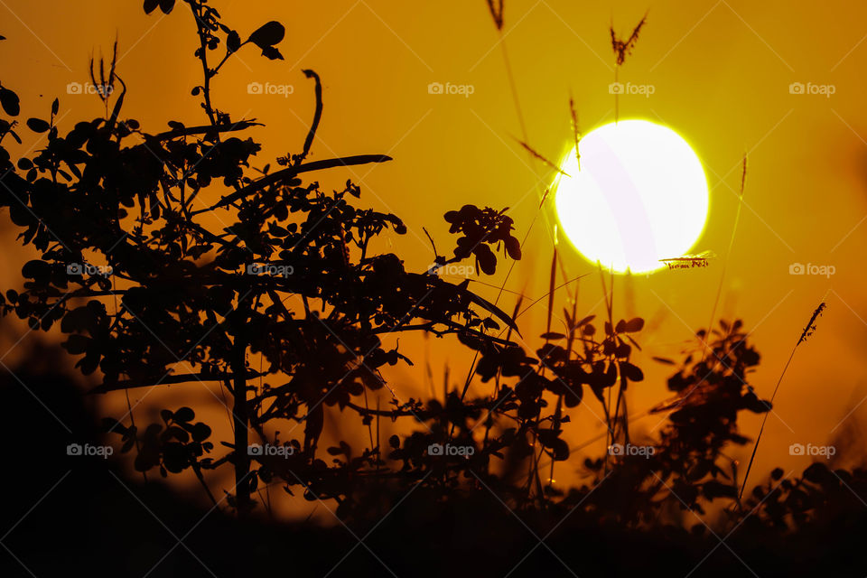 Sun paint the sky with orange