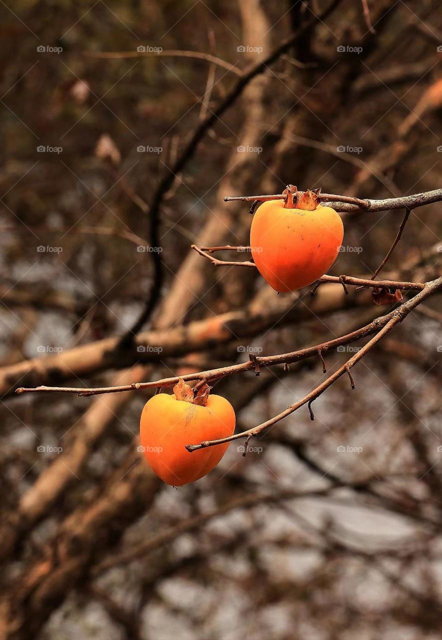 Beautiful autumn 