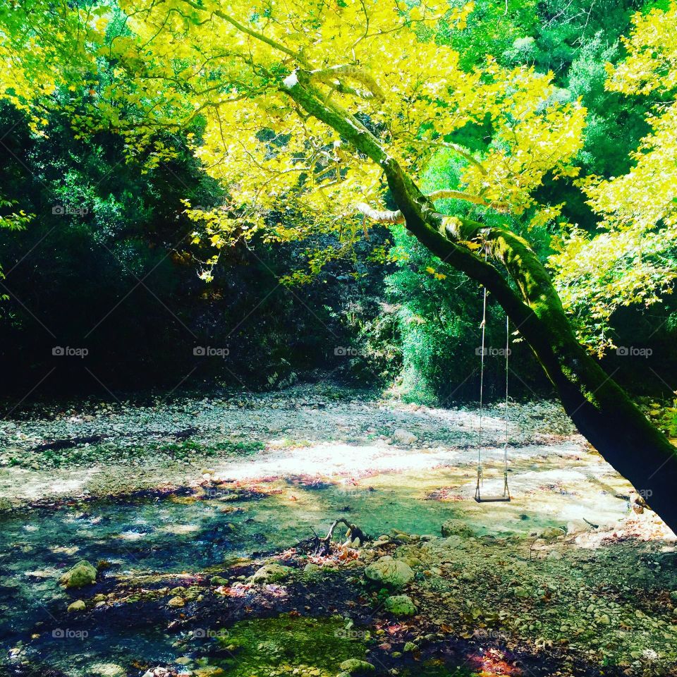 Finding a serene spot in nature 