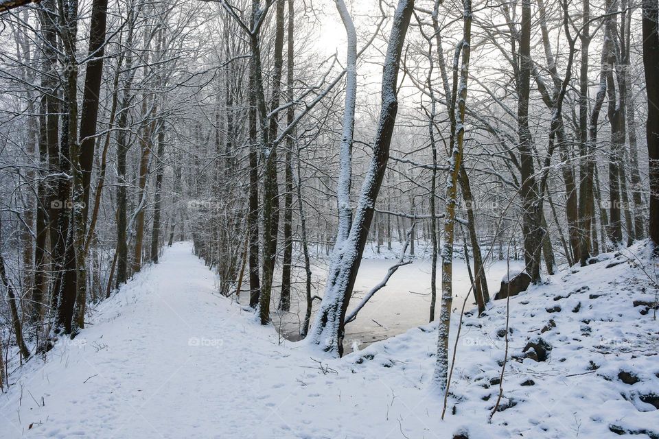 Landscape photo of nature during snow in winter 