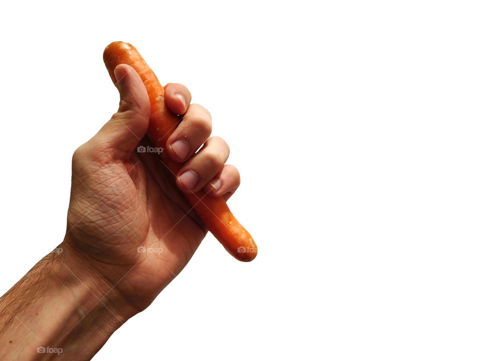 carrot in hand