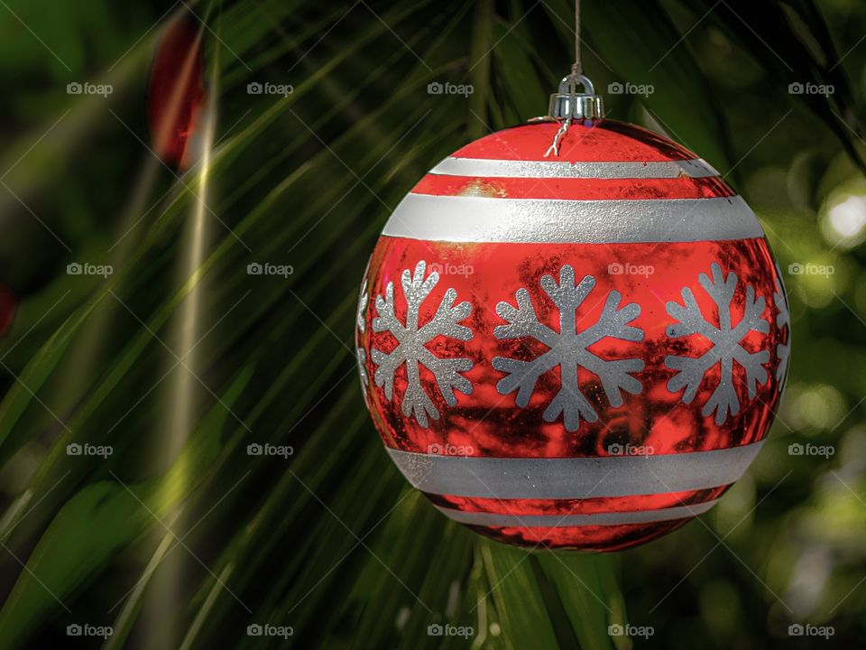 Red, shiny Christmas ornament in tropical setting. 