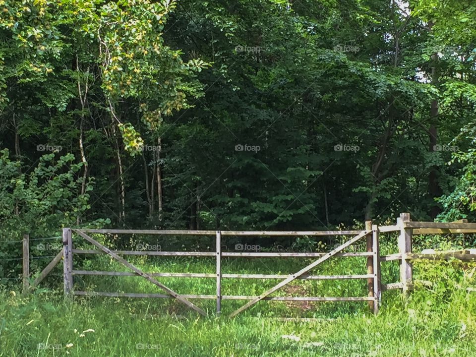 Countryside outside Svedala in Sweden.