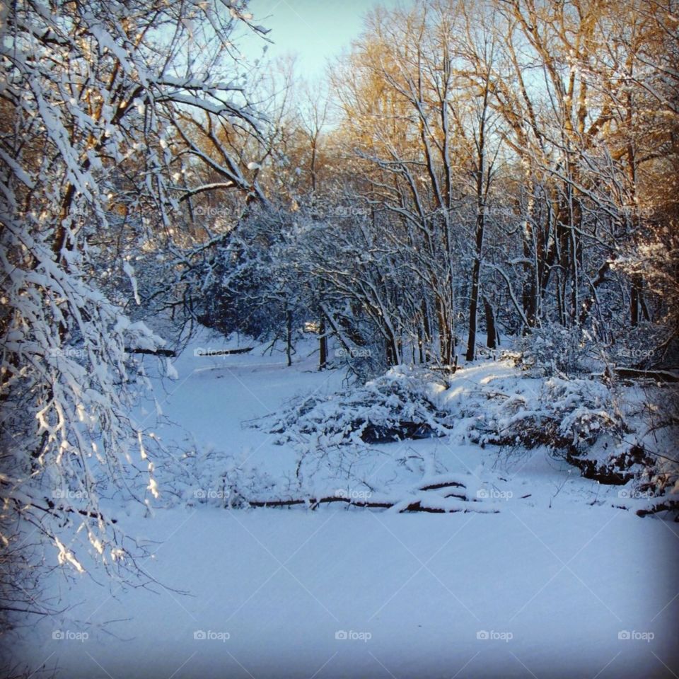 Snowy river 