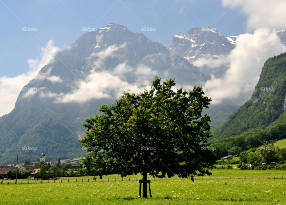 snow sky green nature by gaguling