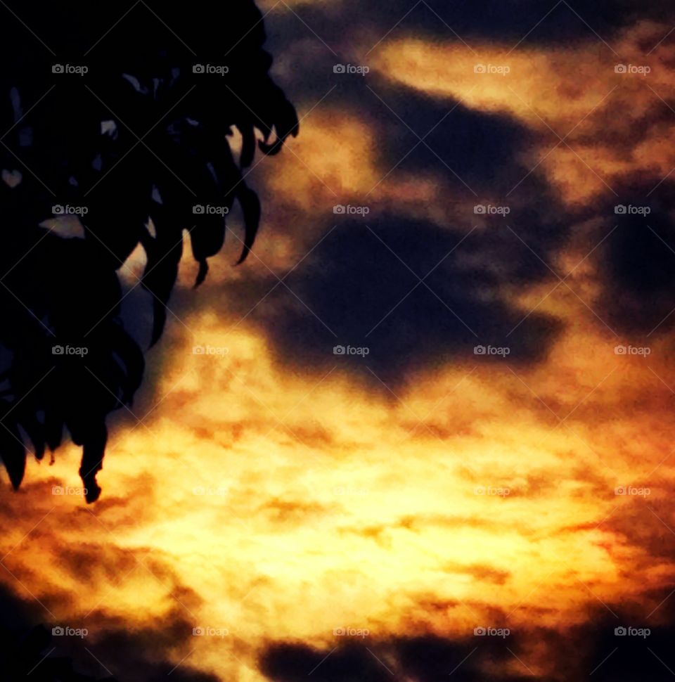 Beautiful weather after Rain