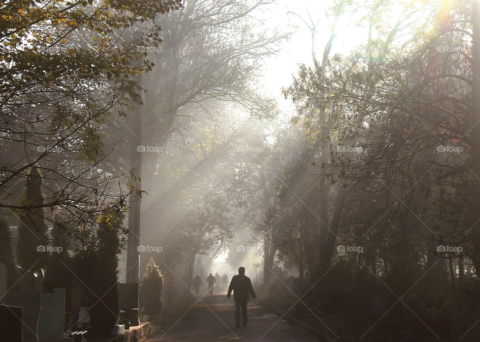 Silhouettes of people walking into the tunnel of light in the park, trees and sun beams