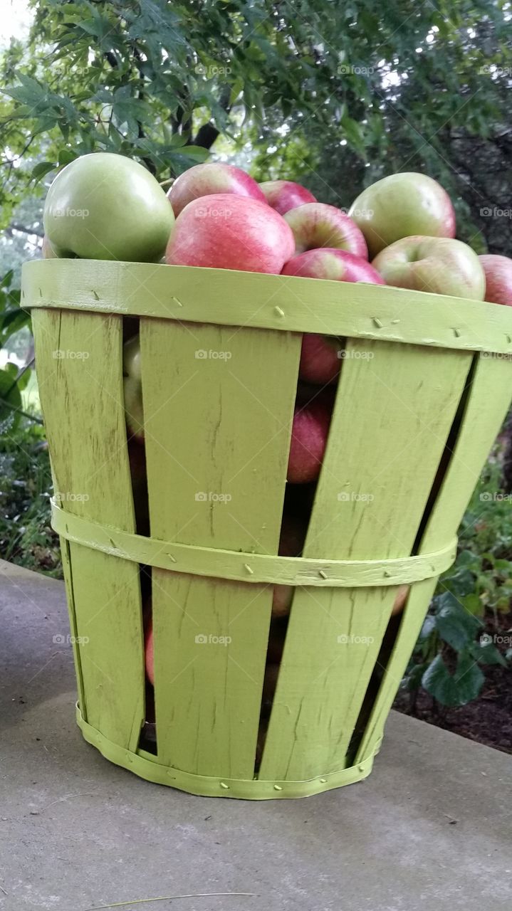 Apples in basket