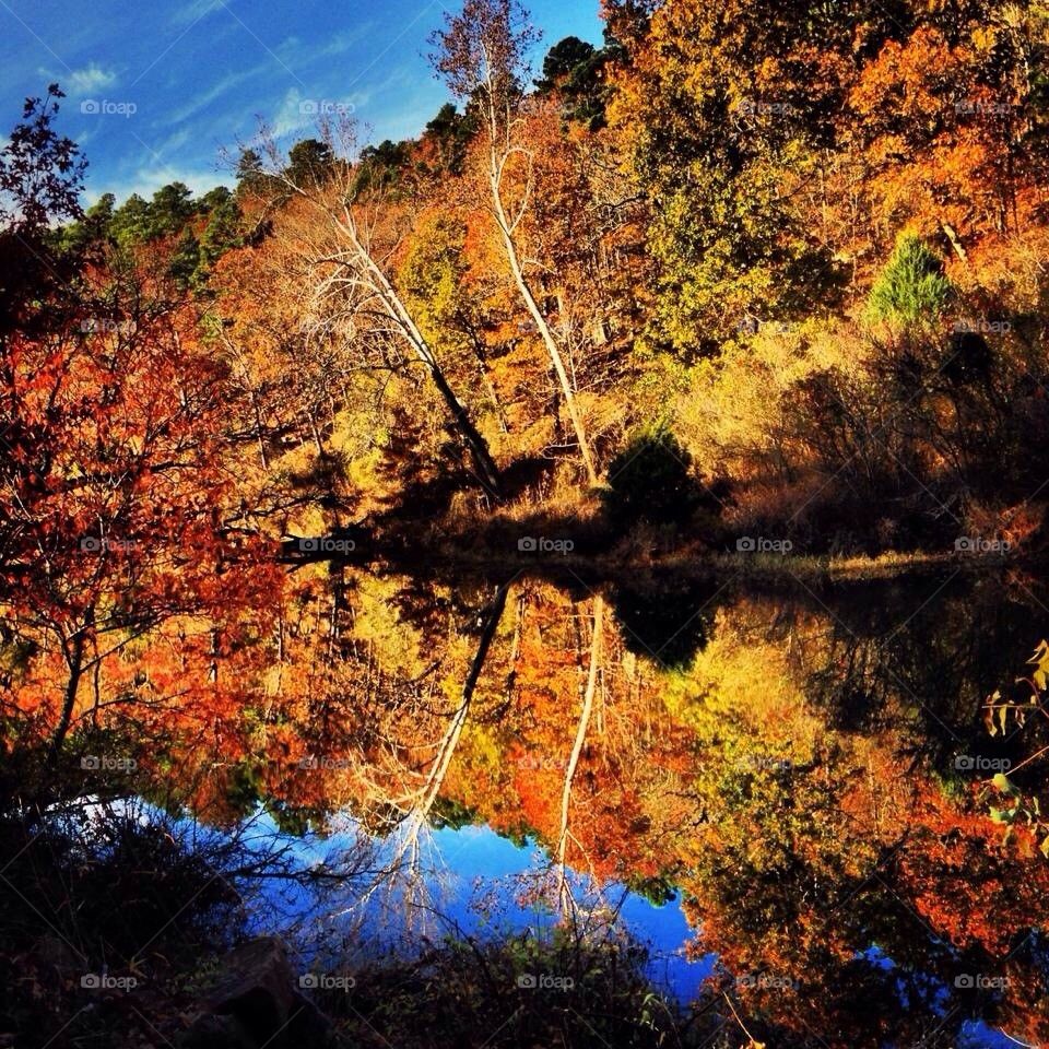 Fall reflection