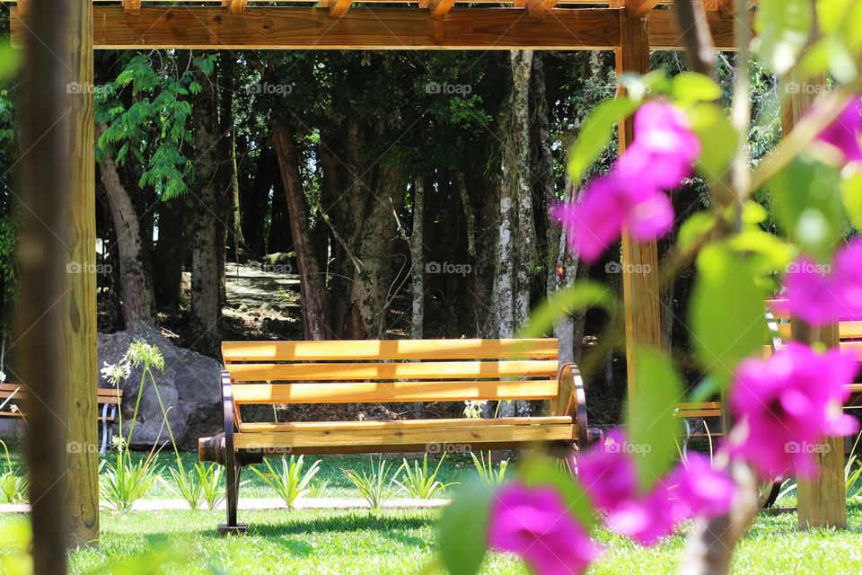 springtime in garden