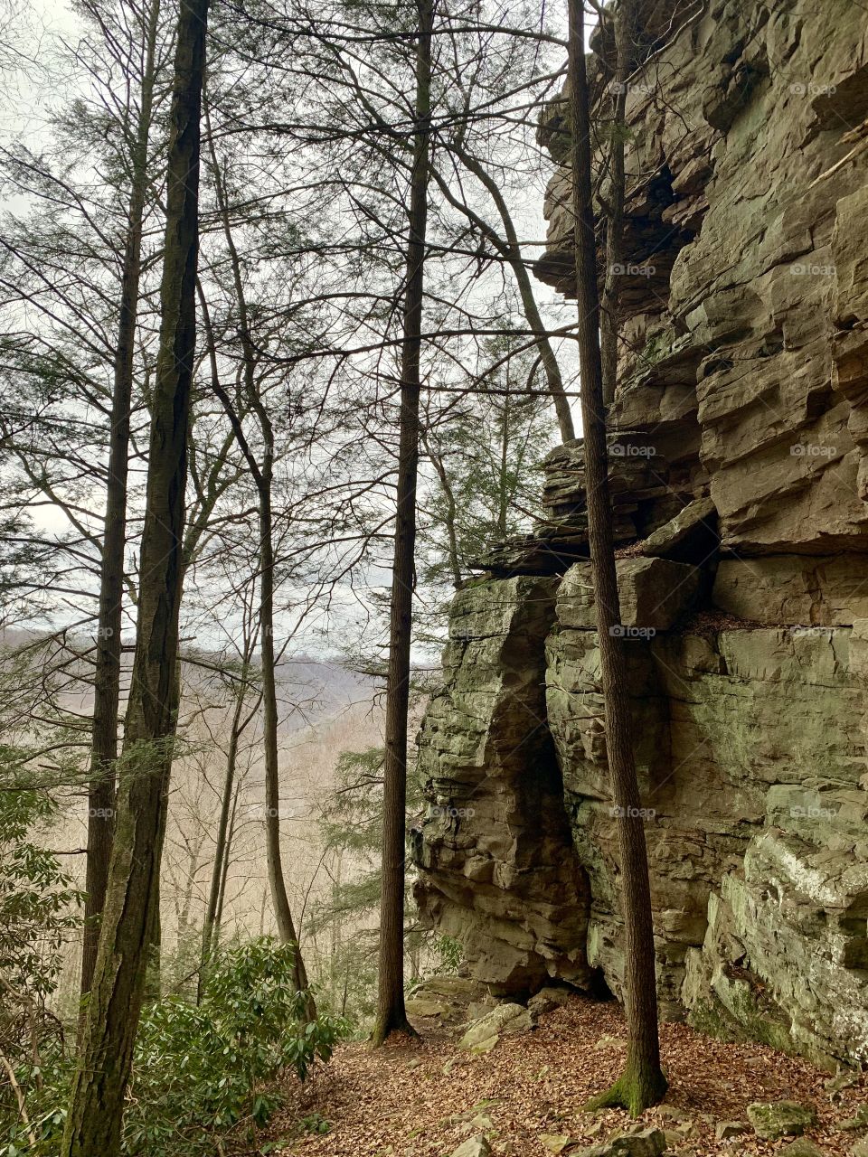 Rocky top of Appalachia mountains