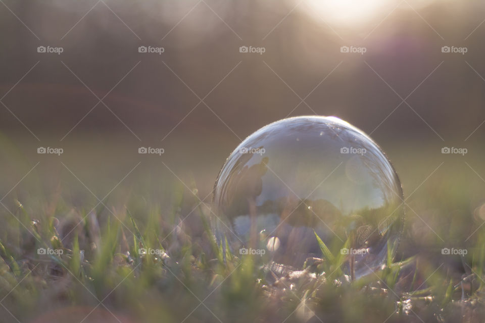Close-up of bubble on grass during sunset