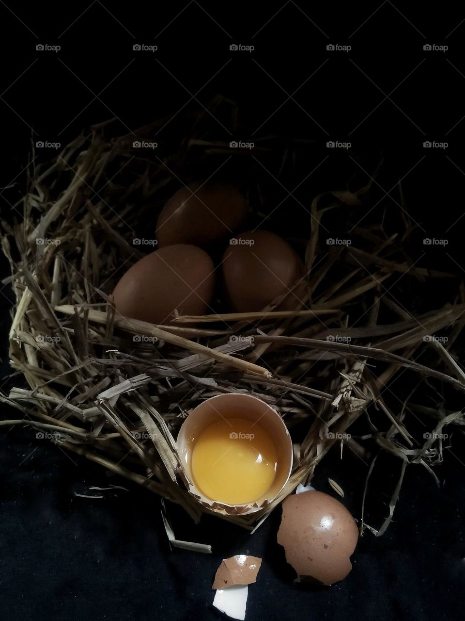 Chicken eggs are eggs produced by poultry chickens. There are two types of chicken eggs that are widely consumed by the community, namely kampung chicken eggs (free-range chicken eggs) and domestic chicken eggs (broiler chicken eggs).