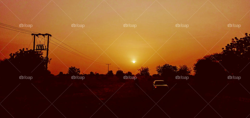 morning Sunshine, sunrise