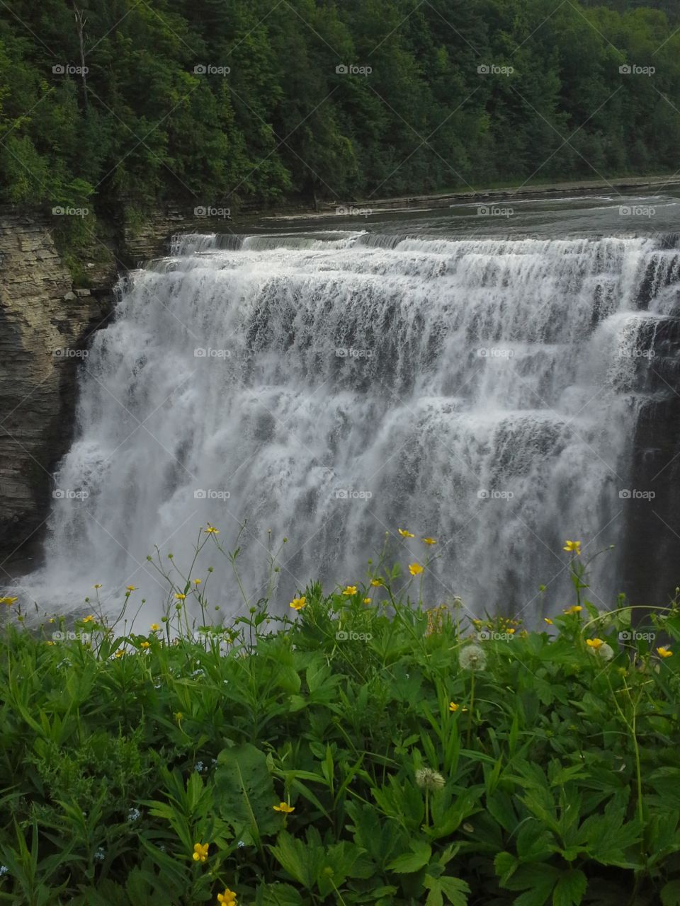 Waterfall at Letchworth State Park