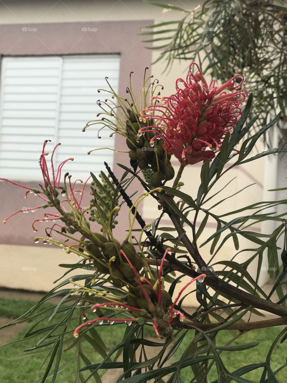 Some snaps near the highways condômino