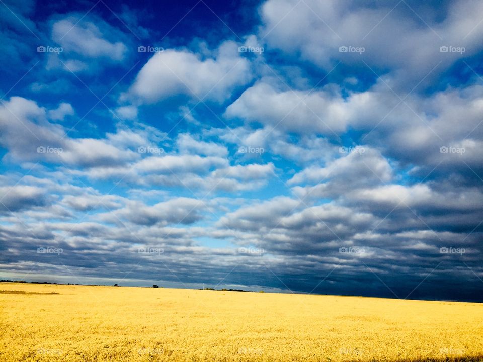 Prairie sky 
