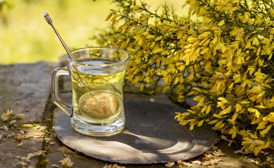 Gorse tea with bright yellow gorse flowers. 